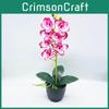 Phalaenopsis Artificial Aphrodite Rchb Potted Plant  For Gift And Interior Decor