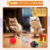 CANPLUS Katzenspielzeug-Set Katzen-Teaser Angelrute Katzenball Katzenmaus Maus-Spielzeug Katzentunnel Feder-Spielzeug Katzenspielzeug Wurfspielzeug Beliebt Stressabbau Fettleibigkeit