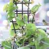 2pcs Garden Plant Support Trellis Frame For Climbing Vegetables And Flowers Pots Garden Plants Care Accessories