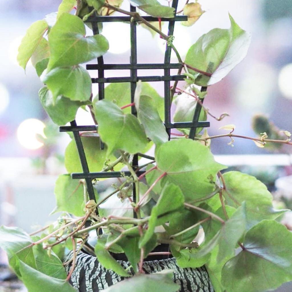 2pcs Garden Plant Support Trellis Frame For Climbing Vegetables And Flowers Pots Garden Plants Care Accessories