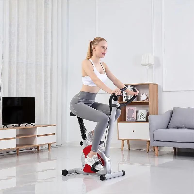 WEZHO Home Spin Bike