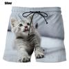 Fashion Cute Cat Graphic Board Shorts For 3D Printed New Casual Unisex Funny Animal Beach Swimming Shorts Trunks