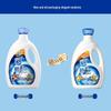 HomeAegis Sunshine Antibacterial Laundry Detergent