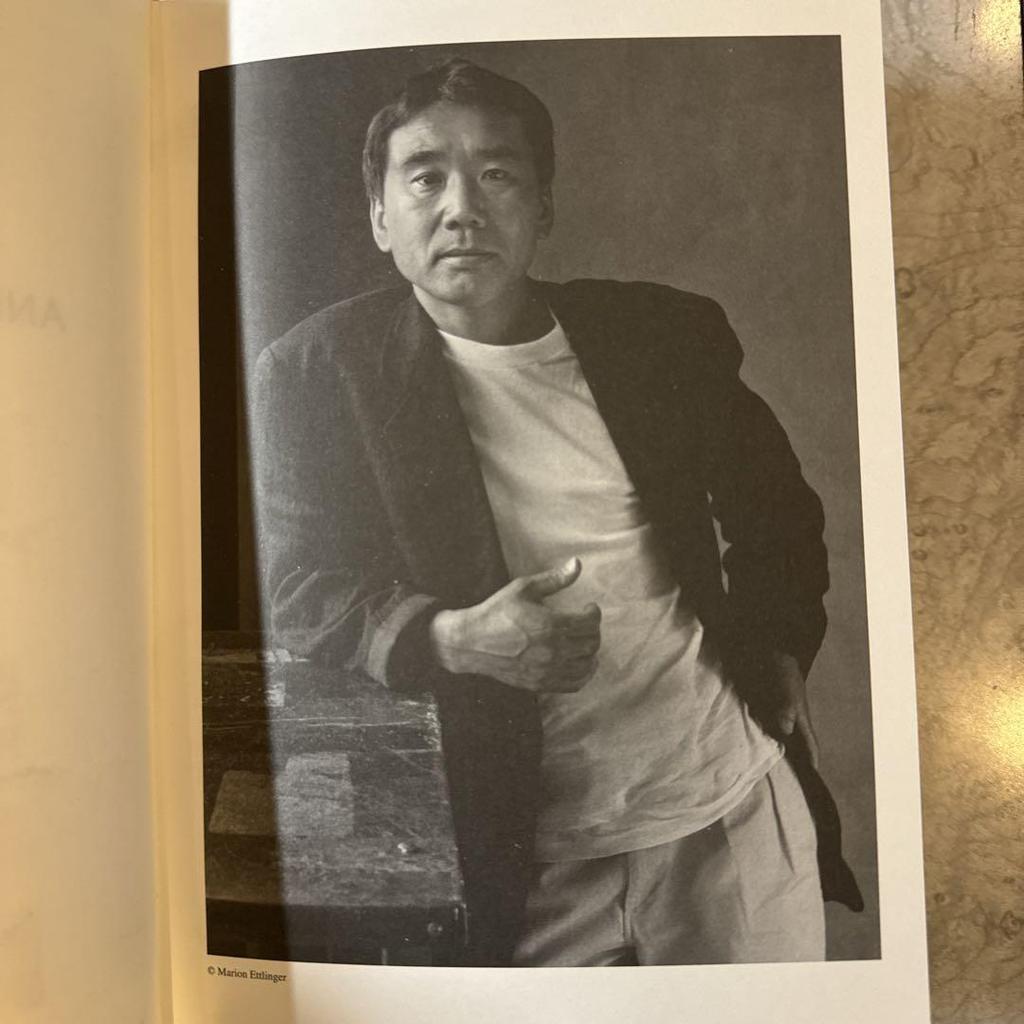 [USED] Murakami Haruki Theory: Chinese Edition