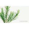 Nard Tea Tree Low pH Cleansing Foam