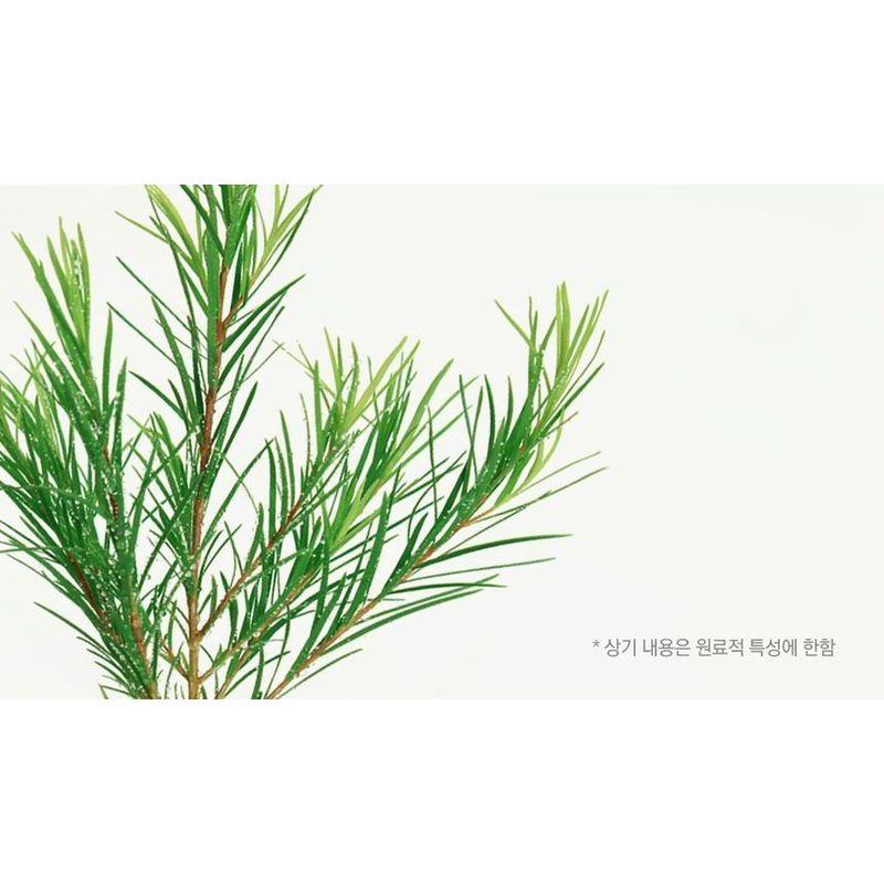 Nard Tea Tree Low pH Cleansing Foam