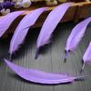 50Pcsdiy Scimitar Feather Colored Feather Handicrafts Jewelry Accessories Material Feather
