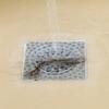 15 PCS Disposable Hair Catcher 5.91*5.91 Inch Drain Stopper Easy Replace Sink Strainer  Shower Drain