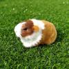 Soft Simulation Fur Guinea Pig Hamster Plush Toy New Plush Stuffed Doll  Kids Gift