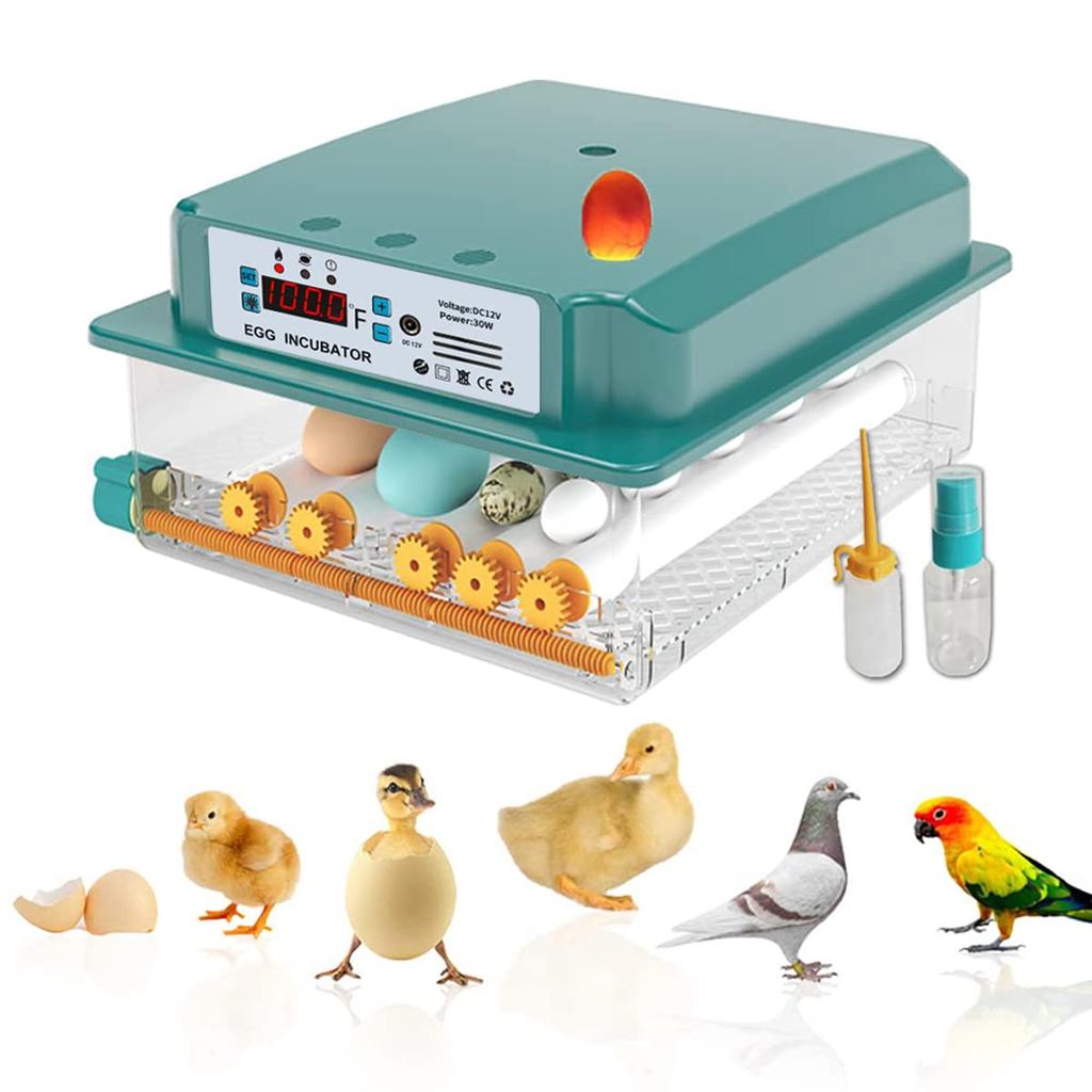 16 Eggs Incubators, Humidity Monitoring, Automatic Turn Eggs, Home Incubator For Hatching Eggs, Quail Eggs Incubators With Egg Candler