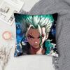 D-Dr. Stone Double-Sided Printed Square Pillow Cover Decorative Cushion Cover For Sofa Bedroom Bedside