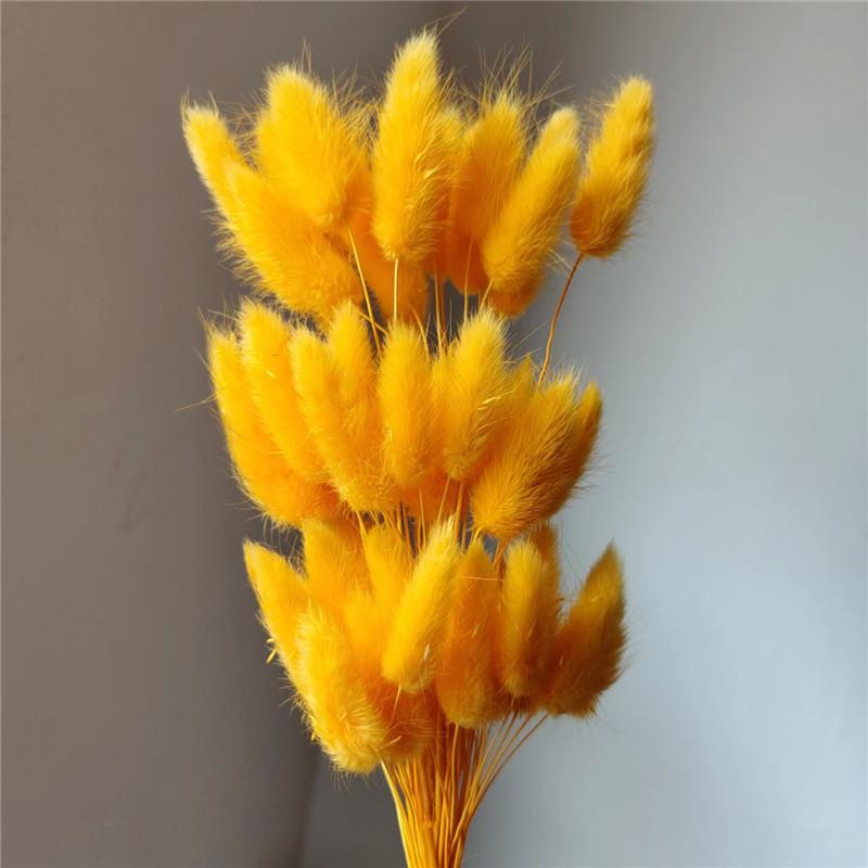 Yunnan Dried Flowers Bouquet - Rabbit Tail Grass