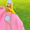 Bite Resistant Anti-flying Training Leash Lightweight Bird Foot Chain Pet Bird Harness  Walking