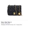 Chanel Mini Flap Bag AS1786-B02916-94305