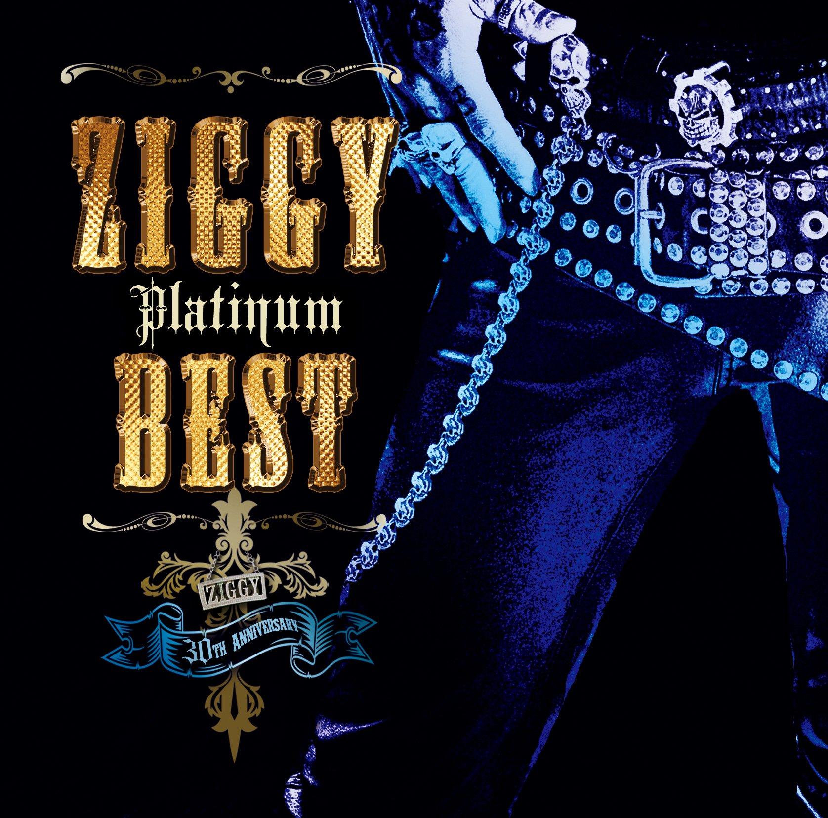 

ZIGGY Platinum Vest