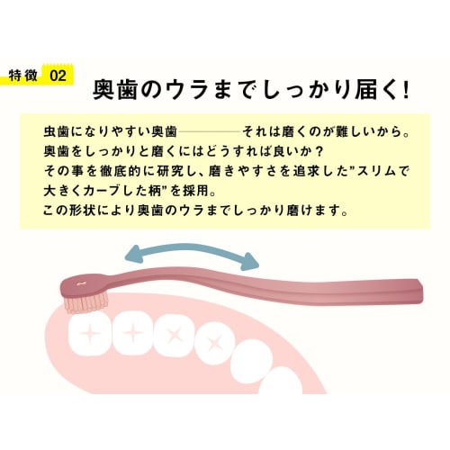 A toothbrush that easily cleans even the backs of your molars | Perforated design promotes drying and hygiene [Good Design Award Winner] Regular, 4-Pi