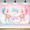 Blue and Pink Bear Gender Revealing Background with Cute Teddy Bear, Balloon, and Floral Designs