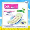 Charmnap Absorbent Sanitary Medium 76 pieces pieces x 2 Absorbent Napkins, Absorbency, Odor-Eliminating Type, Wingless, 50cc, 23cm, (38 bags) (Urine