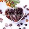 Natural Wood Opal Stone: Fish Tank, Flower Pot, Home Decor, Children's Mining Activity - 500g