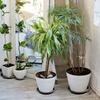 Outdoors Plant Trays Saucer Plastic Replacements Tools