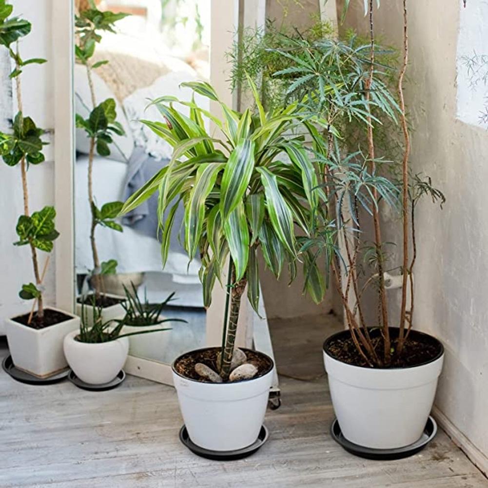 Outdoors Plant Trays Saucer Plastic Replacements Tools