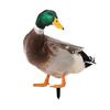 Realistic Acrylic Animal Yard Stake, 2D Flat Chicken Goose Bird Bunny Garden Sign for Pathway, Patio, Lawn Outdoor