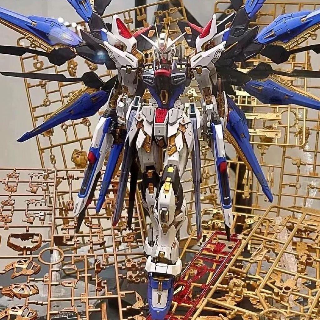 HG Strike Freedom Unicorn Red Astray Gundam Model Building Kit