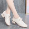 3cm Ladies Spring and Autumn New Soft-skinned Soft-soled Middle-aged and Old-aged Mom Leisure Shoe Women