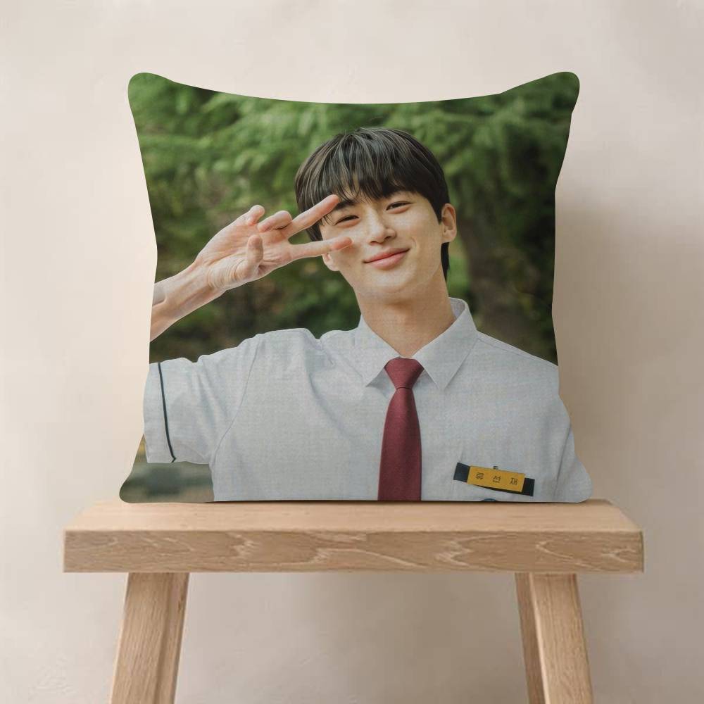 Korean Celebrity Byeon Wooseok   Cushion Cover Decorative Pillow Sofa Home Decor case pillow cases