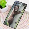 Cute Grizzly Bear Phone Case for Samsung Galaxy note 10 pro S26 Ultra S23 S24 FE S25 S21 S22 PLUS shockproof Cove