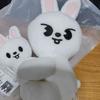 Skzoo  Has Launched A Latest Magnetic Magnet Doll In Various Sizes, Featuring The Same Style As The Celebrity Merchandise
