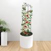 Plant Stem Climbing Rack Plant Trellis Support Stake Stand Vine Growth Flower Frame For Mini Climbing Plants Potted