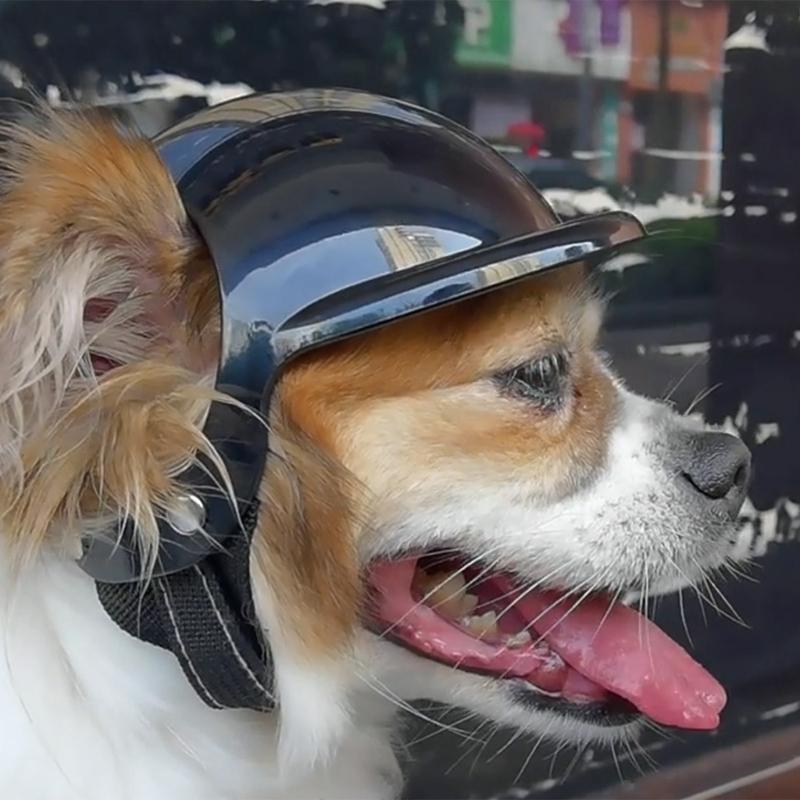 Dog Goggles Adjustable Pet Helmets Puppy Helmets Motorcycle Dog Sunglasses Dog Hat Dog Hat Safetys Helmets