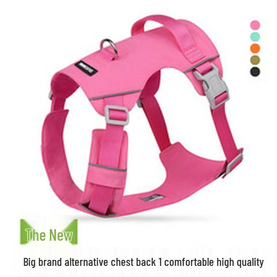 Verstellbares ausbruchsicheres Katzengeschirr und Leine für den Außenbereich