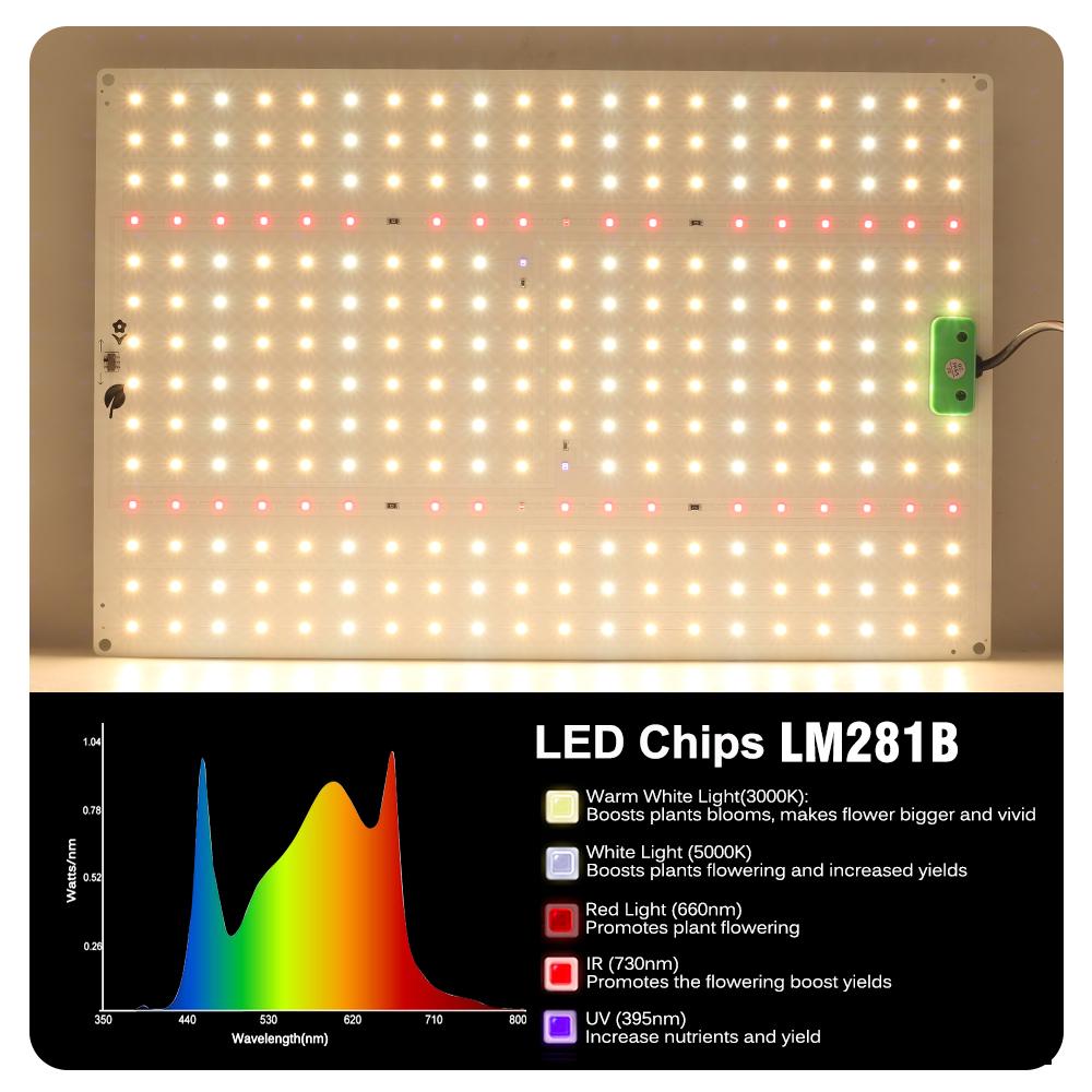 Full Spectrum LED Grow Light LM281B Diode LED Sunlike Quantum Grow Lamp For Greenhouse Hydroponic Plant Growth Lighting