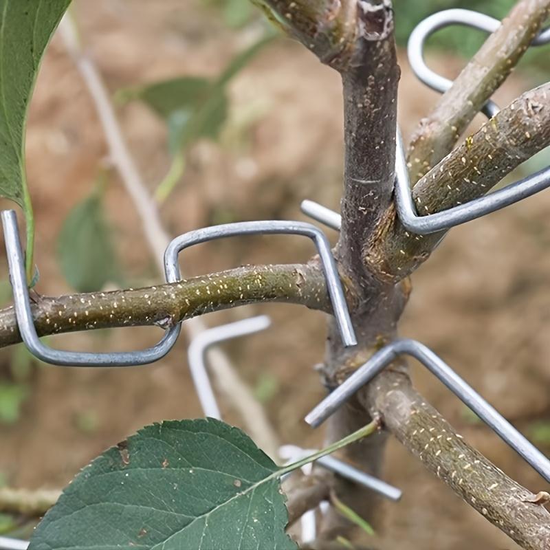 10pcs of Metal Branch Pruners, Tools for Shaping Garden Flowers