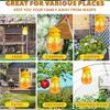 1/50pcs Liquid Pheromone Attractant Trap Home Garden Farming Hanging Wasp Catcher Traps Pest Control Supplies Fruit Flies Cage