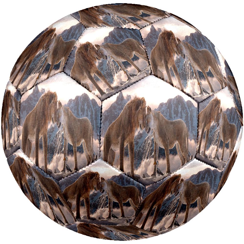 1pc Lion Love Snow Size 5 Soccer Ball Professional Match Training Football Indoor &Outdoor Sports Ball Lightweight Durable c6540