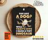 Bearded Dragon Reptile Funny Lizard Lover Gift T-shirt, Cute Bearded Dragons, Owner Birthday Present Tees, Reptiles Lizards Shirts, Pogona,