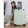 20-inch Scratch & Wear-Resistant Multifunctional Travel Trolley Suitcase