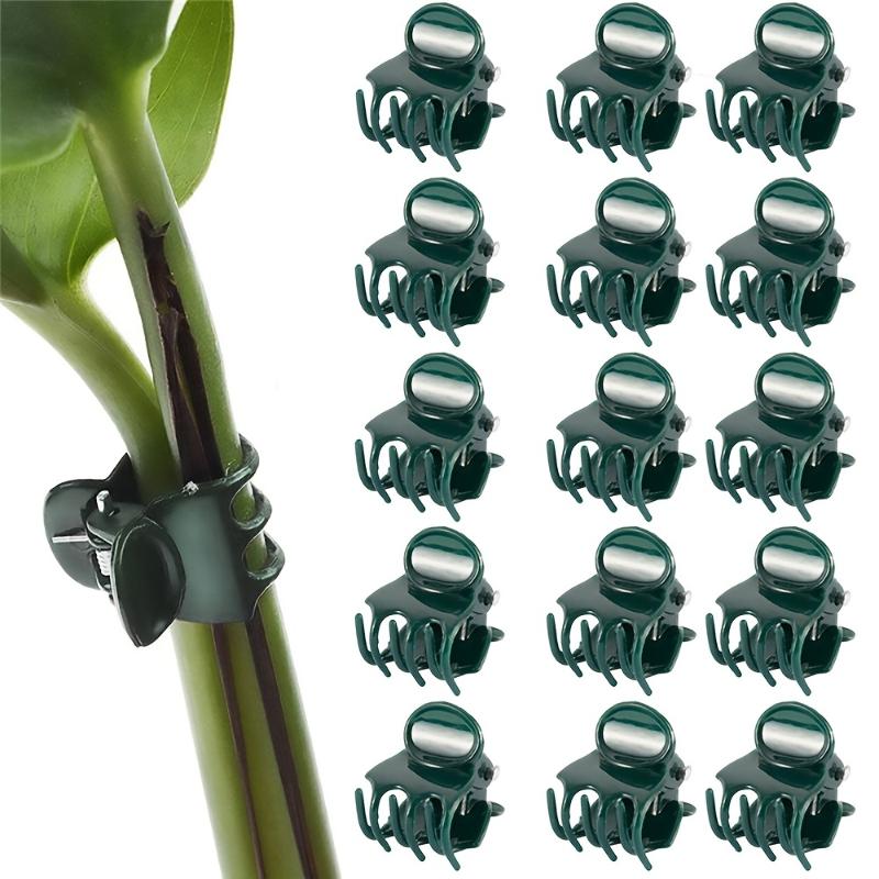 50pcs Plastic Garden Plant Clip For Phalaenopsis Graft Orchid Stem Dark Green Vine Support Clips Gardening Accessories