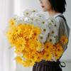 Simulation Small Daisy Chamomile Fresh Fake Dried Chrysanthemum Living Room Decoration