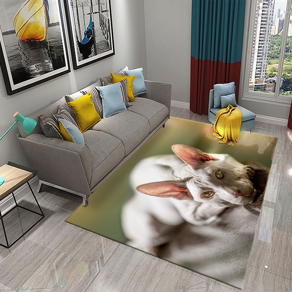 

Нескользящий коврик для кухни, ванной комнаты, ковер с изображением кошки, милый ковер с лысым котом, детский ковер для украшения гостиной, спальни и гостиной 40x60cm