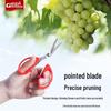 Lightweight Stainless Steel Scissors for Fruit and Vegetable Harvesting