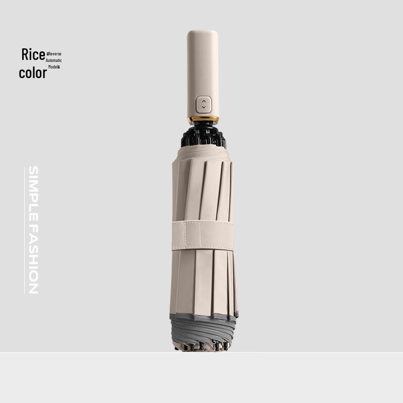 OIMG 10-Rib Folding Umbrella