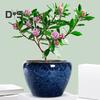 Ceramic Flowerpot Large Circular Opening Planter Pot Colored Glaze Finish Flower Pot with Drainage Hole for Indoor Outdoor Use
