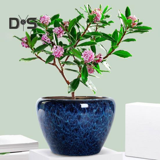 Ceramic Flowerpot Large Circular Opening Planter Pot Colored Glaze Finish Flower Pot with Drainage Hole for Indoor Outdoor Use