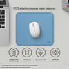 Periferice pentru calculatoare – Mouse-uri