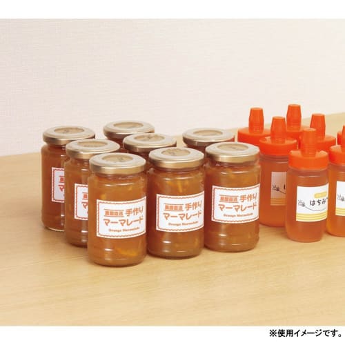 KOKUYO printer compatible label stickers 10 sides 20 sheets KPC-E110-20N