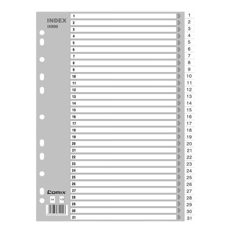 Comix IX899 A4 Monthly Index Dividers